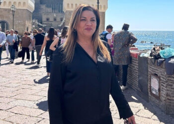 Europee, Ricci (Fi): “A Bruxelles per portare le istanze del Sud”
