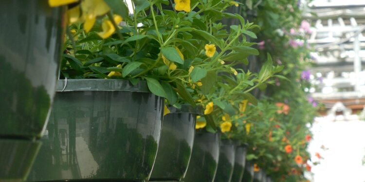 Vivai Antonio Marrone premiata a Roma per trasparenza e solidità aziendale