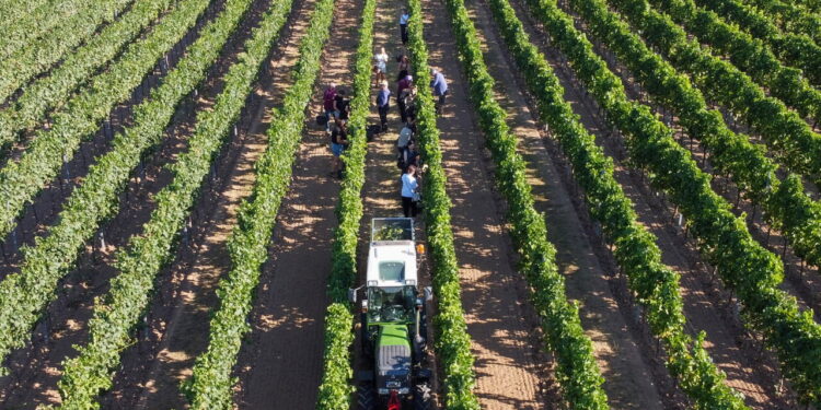 Legacoop, vino patrimonio a rischio tra clima, mercati e consumi che cambiano