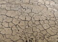 Guardian, ‘almeno 35.000 morti in Europa per ondate calore di questa estate’