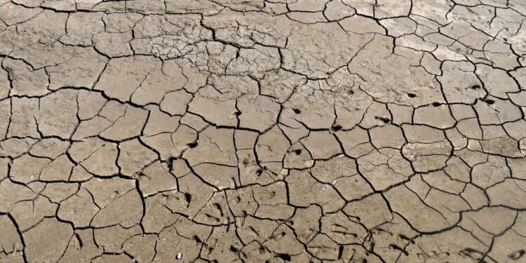 Guardian, ‘almeno 35.000 morti in Europa per ondate calore di questa estate’