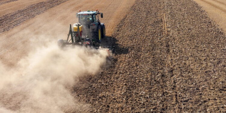 Meno parenti più innovazione, l’agricoltura non è più familiare
